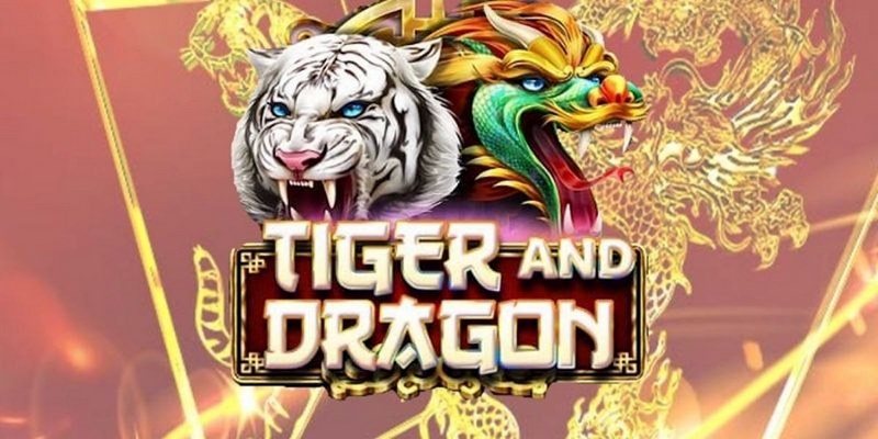 Hướng dẫn 4 bước cược Dragon Tiger tại cổng game Sanclub